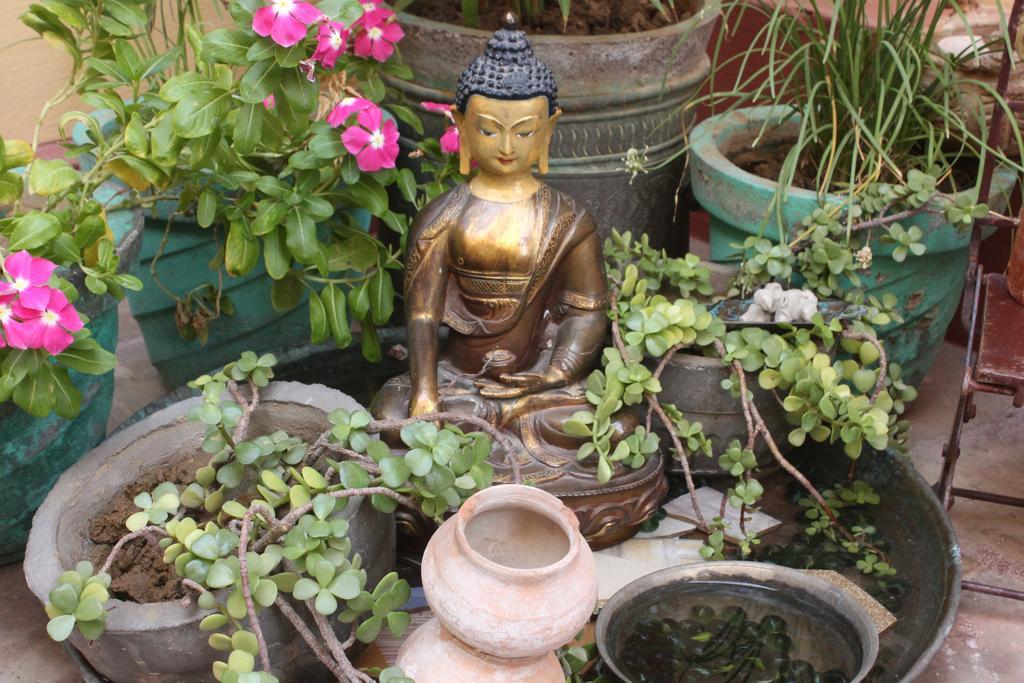 Homestay Udai Niwas -